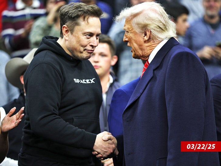 Donald Trump Elon Musk Sube Treewing
