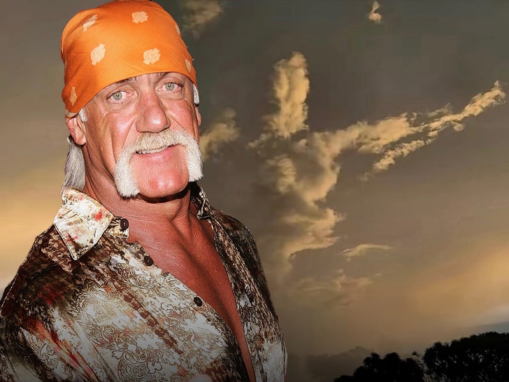 hulk hogan in clouds getty 1