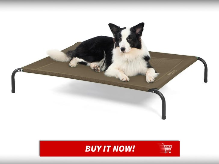 Bedsure-Outdoor-Elevated-Dog-Bed-National-Dog-Day-Deals-MAIN
