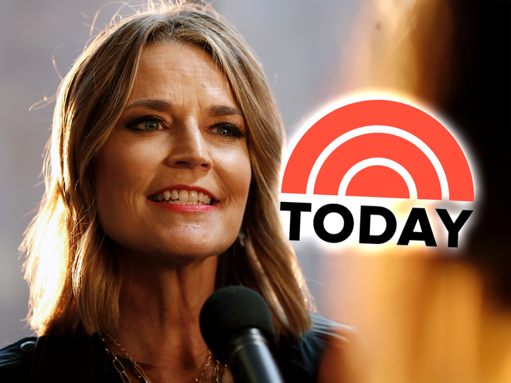 savannah guthrie today show main getty