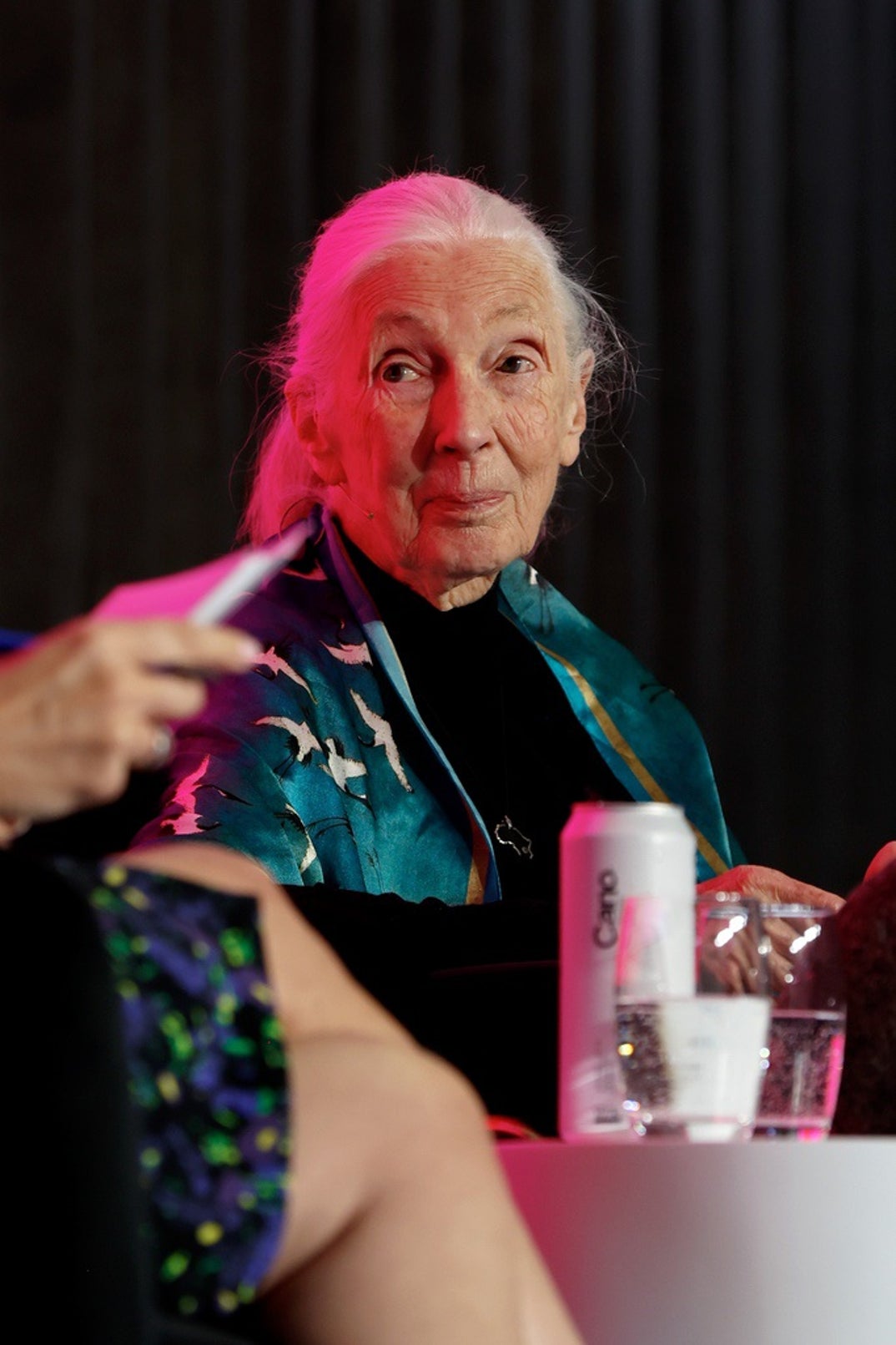 Remembering Jane Goodall 10