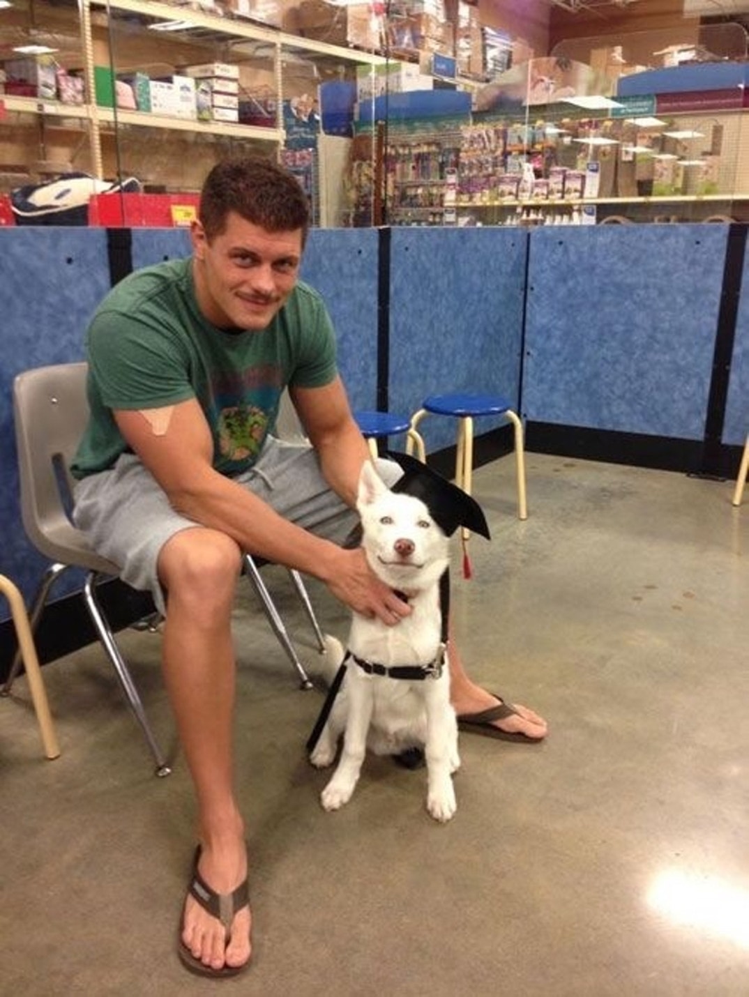 Cody Rhodes Dog 0