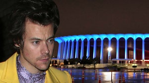 Harry Styles Fan Sues Concert Venue Over Alleged Injuries From Crowd Surge