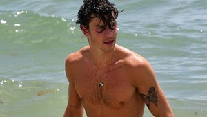 Shawn Mendes Takes a Dip at Miami Beach After Canceling World Tour