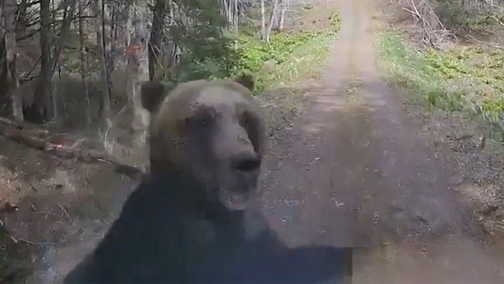 Bear Attack Caught on Video, Rushes Car and Smashes Windshield