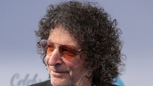 howard stern getty 1