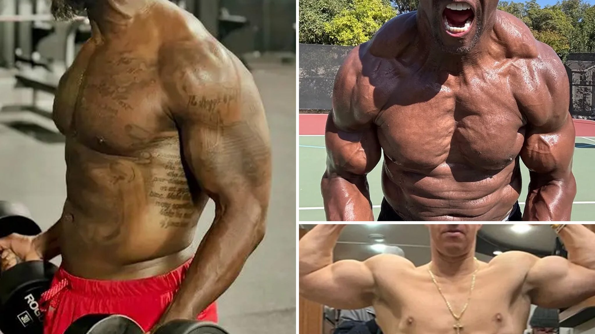Bust Into The Holiday Season With These Famous Biceps — Guess Who! Bust Into The Holiday Season With These Famous Biceps — Guess Who!