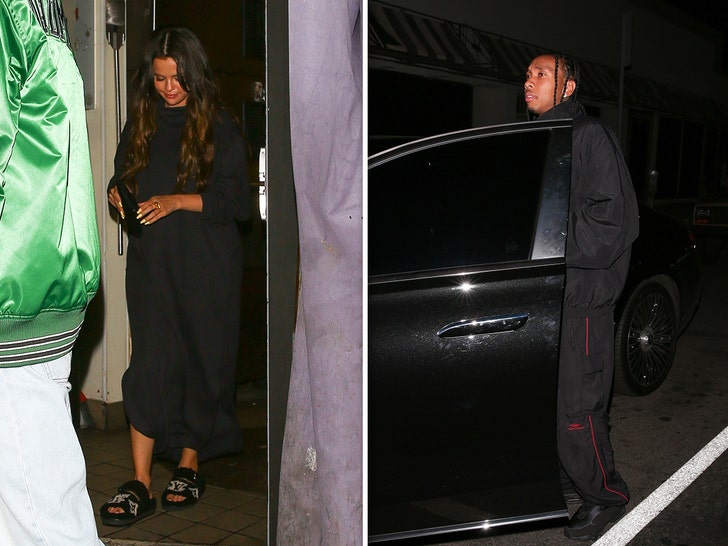 Selena Gomez and Tyga Spotted Together at Popular L.A. Club.jpg