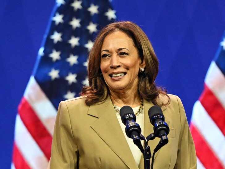 Kamala Harris On The Campaign Trail