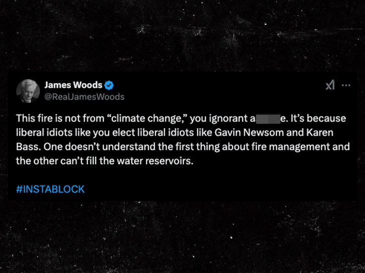 james wood gavin newsom karen bass evacuações de incêndio