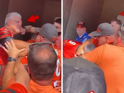 Bengals fans fight in the crowd