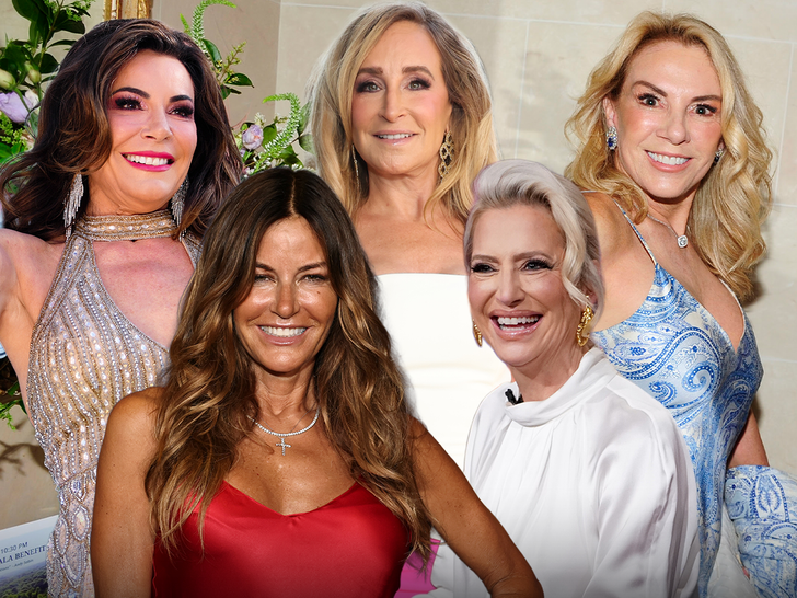 main Luann de Lesseps, Sonja Morgan, Kelly Bensimon, Ramona Singer, and Dorinda Medley getty