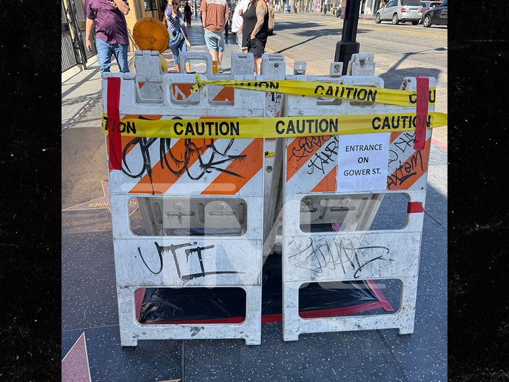 sub-dolly-parton-tmz-1