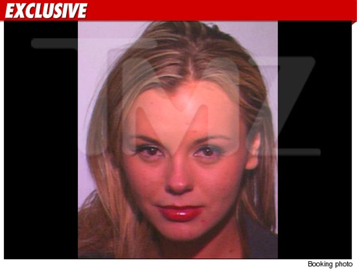 Bree Olson Porn Black - Charlie Sheen's Porn Pal Bree Olson Arrested for DUI