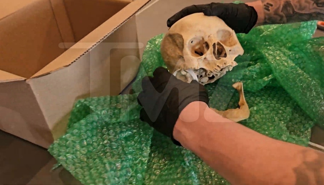 Hila Klein Human Skull 2