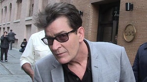 Judge Warns Charlie Sheen's Lawyer to Stop 'Slut-Shaming' in HIV Lawsuit