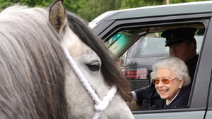 Queen Elizabeth Attends Horse Show After Disclosing Mobility Issues
