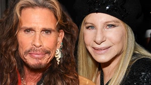 Barbra Streisand Says James Brolin's Pillow Talk Inspired Aerosmith Song