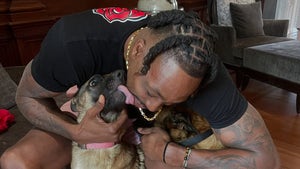 0626-Dwight-Howard-Dog-PRIMARY