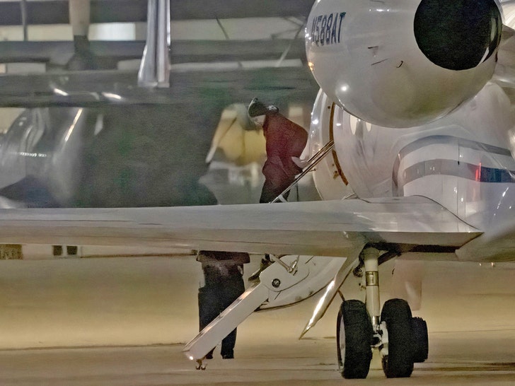 brittney griner landing in texas getty