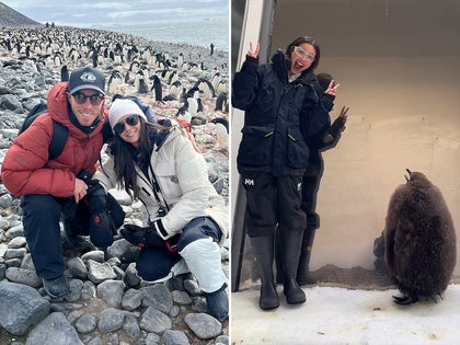 0424-stars-with-penguins-primary_720