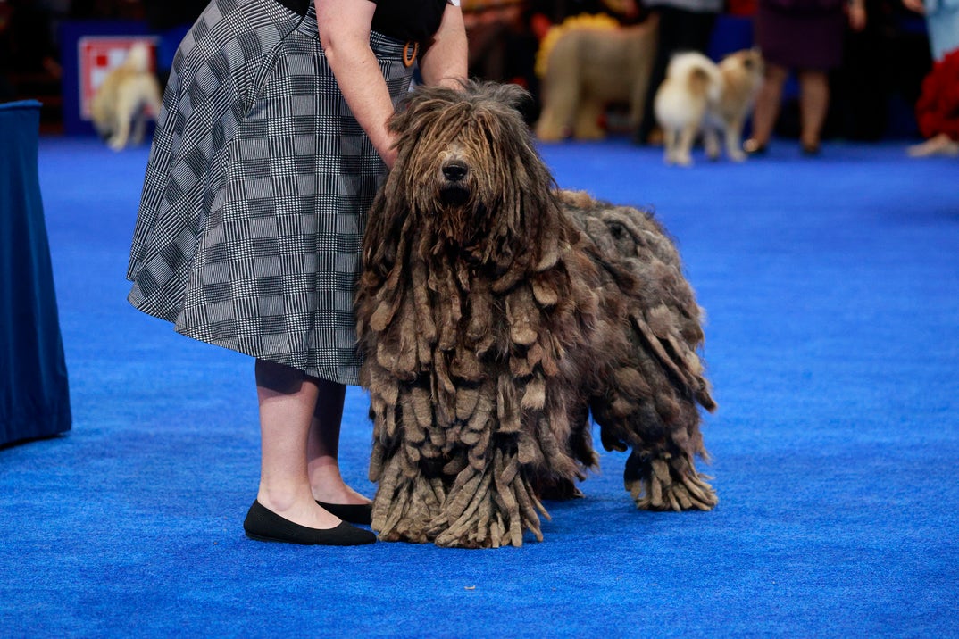GettyImages-2247101433