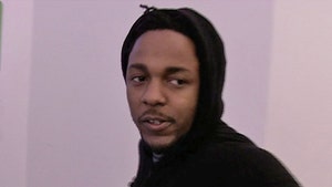 Kendrick Lamar Stops Show When White Fan Raps N-Word Onstage