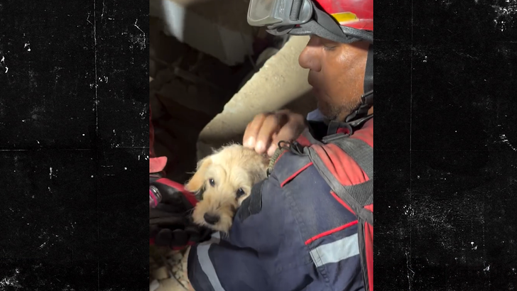 062526 earthquake puppy rescue kal