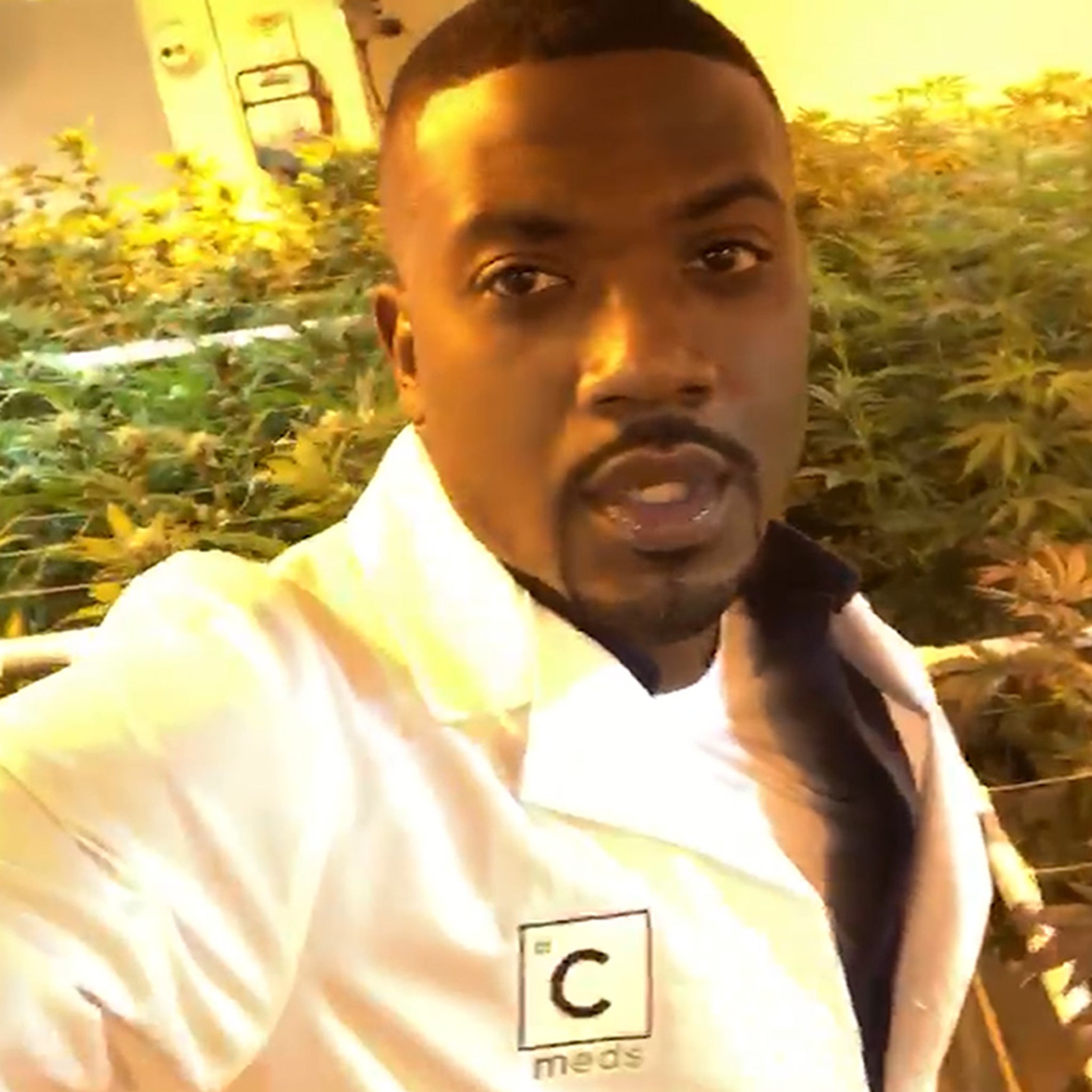 Image result for ray j and cannabis