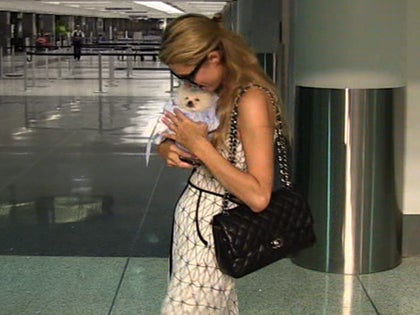 091414_paris_hilton_primary