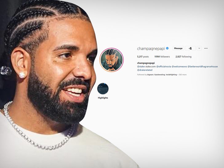 Drake Surprised 'Honestly, Nevermind' Painter With Instagram Profile Nod.jpg