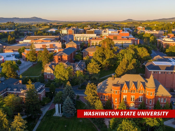 Washington State University