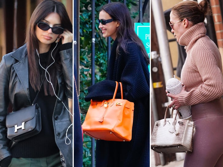 Celebs With Hermes Bags