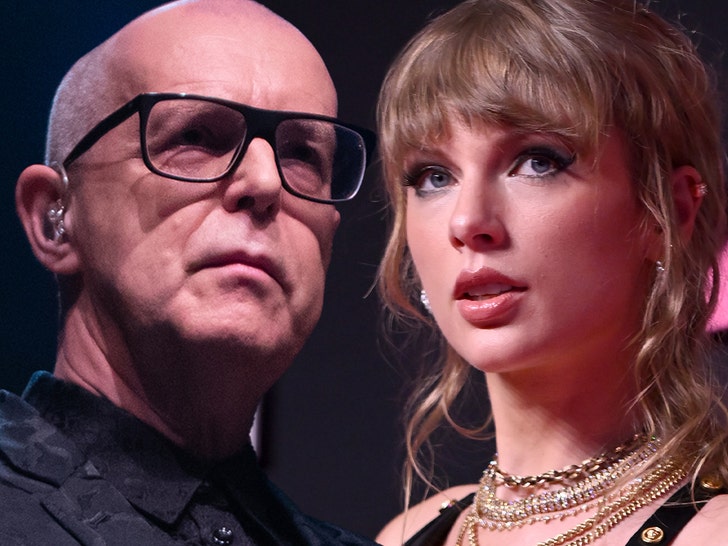 Pet Shop Boys' Neil Tennant Doesn't Think Taylor Swift Has Hit Songs