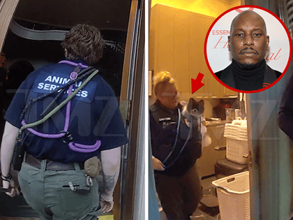 100425_tyrese_gibson_arrest_bodycam_primary