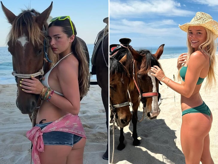 星々は火の馬の年を告げる鞍を着ていた