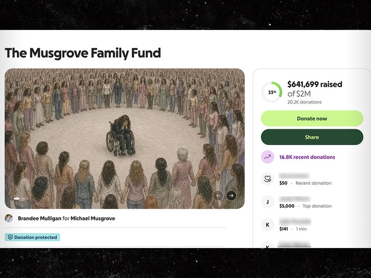 sub-Lindsay-Clancy-gofundme-1