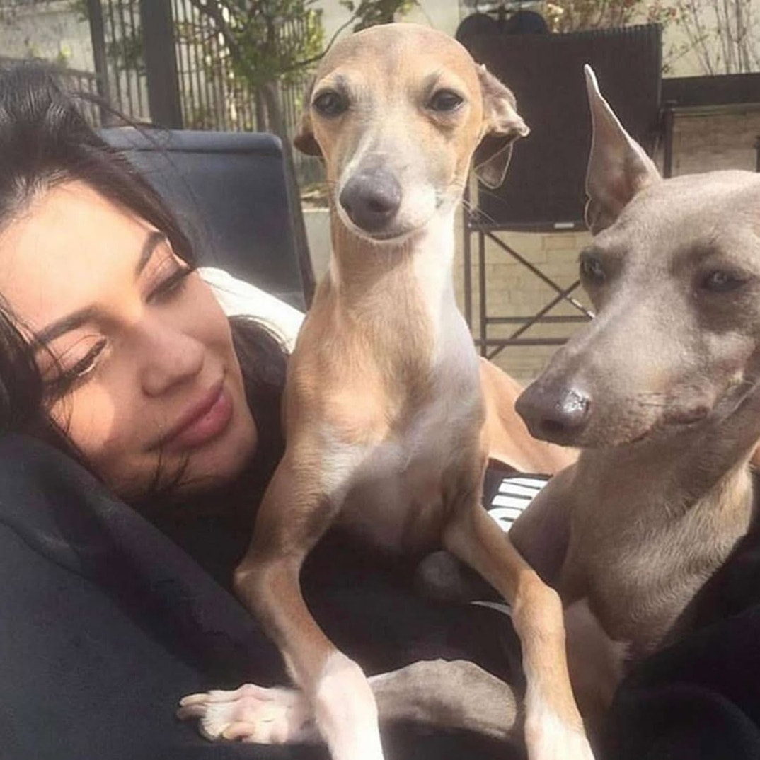 Kylie Jenner Norman Dog 0