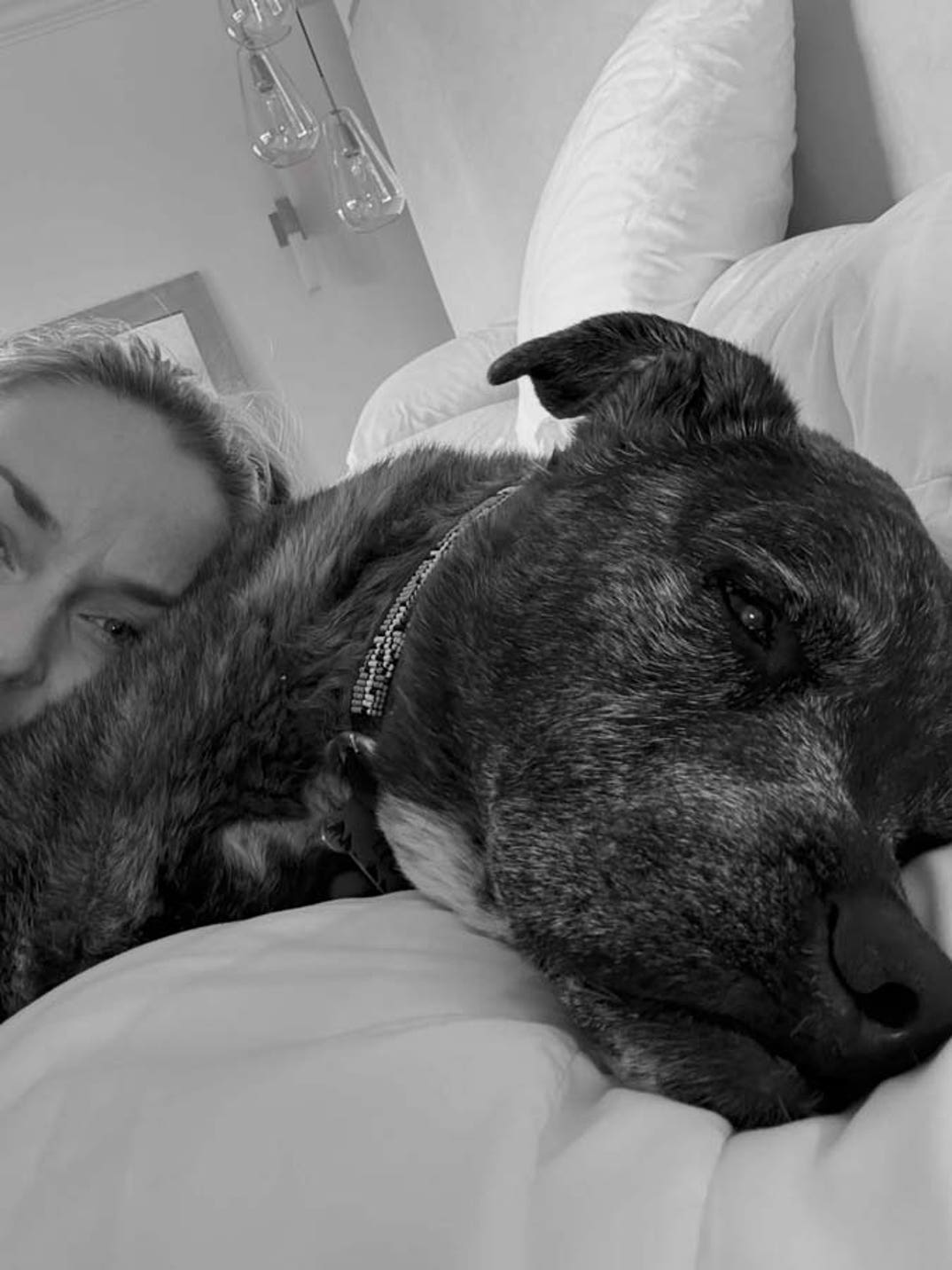 Lindsey Vonn dog