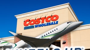 Costco Selling Private Jet Membership for $17,500