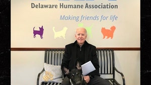 Joe Biden's Rescue Dog Major will be Indogurated