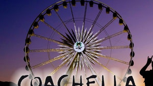 Coachella Festival Fined $117,000 For Breaking Curfew