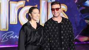 Justin Timberlake Appears at 'Trolls' Premiere with *NSYNC