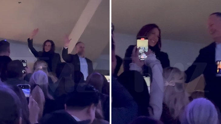 Kamala Harris e Doug Emhoff aparecem no concerto FireAid, vídeo