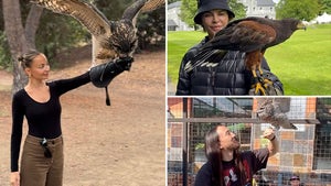 0105-Celebrities-With-Birds-hero