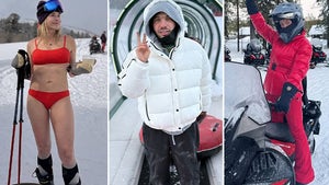 0206-Snowy-Stars-Playing-Winter-Sports-hero