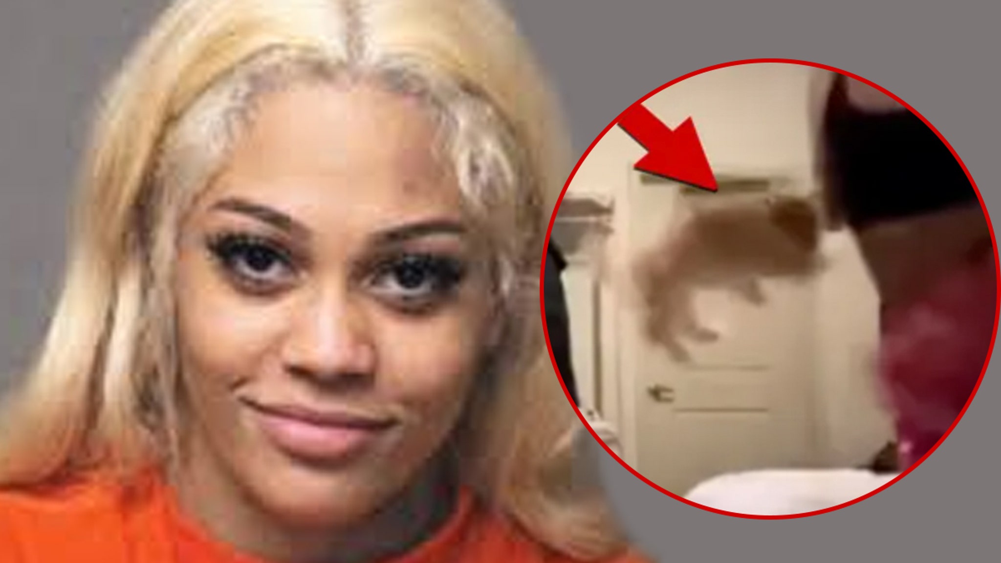 Streamerhond Aspen Kartier krijgt adoptieverzoek, geplaatst in pleeggezin