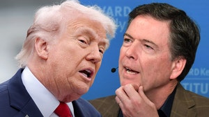 donald trump and james comey getty 2