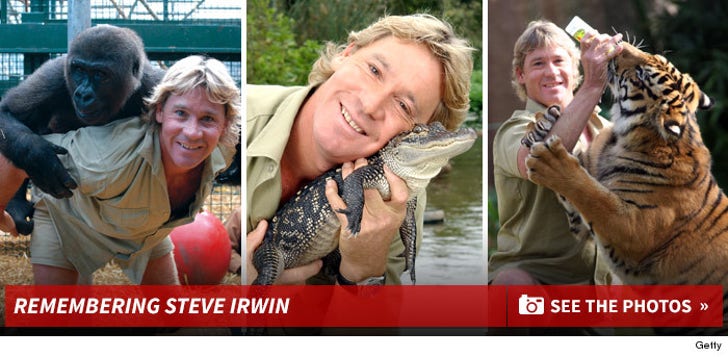 Remembering Steve Irwin