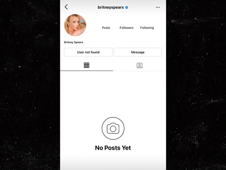 Britney Spears Deletes Instagram, Breaks from Social Media Before Court  Hearing